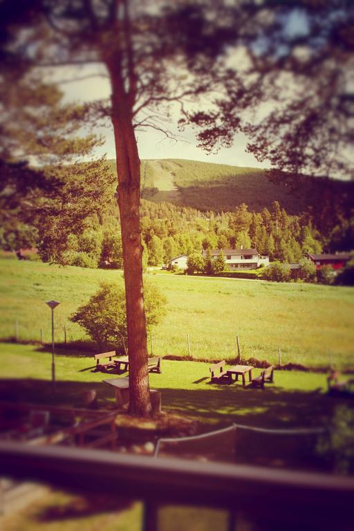 Dovrefjell Hotel Dombås المظهر الخارجي الصورة